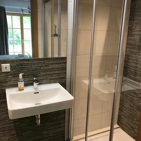 Apartman Platzhirsch Haus im Ennstal