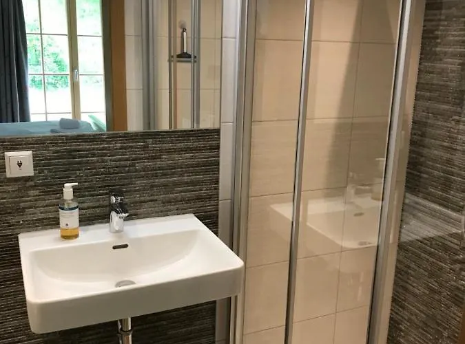 Appartement Platzhirsch Haus im Ennstal